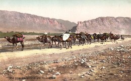 ** T1/T2 Une Caravane De Nomades / Arabian Folklore, Camels - Non Classés