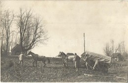 T2 1916 Trén (málhás Szekerek Menetoszlopa és Legénysége) Mozgatása Sárban / WWI K.u.k. Military, Soldiers Moving The Pa - Ohne Zuordnung