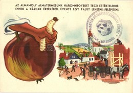 ** T2 Az Almamoly Almatermésünk Háromnegyedét Teszi értéktelenné. Mezőgazdasági Propaganda, Klösz / Agricultural Propaga - Sin Clasificación