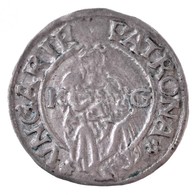 1516K-G Denár Ag 'II. Lajos' (0,54g) T:1-
Hungary 1516K-G Denar Ag 'Louis II' (0,54g) C:AU
Huszár: 841., Unger I.: 673.m - Unclassified