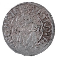 1521K-A Denár Ag 'II. Lajos' (0,58g) T:2
Hungary 1521K-A Denar Ag 'Louis II' (0,58g) C:XF
Huszár: 841., Unger I.: 673.n - Unclassified