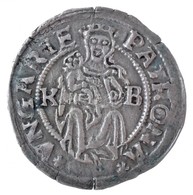 1525K-B Denár Ag 'II. Lajos' (0,48g) T:1-,2
Hungary 1525K-B Denar Ag 'Louis II' (0,48g) C:AU,XF
Huszár: 841., Unger I.:  - Unclassified