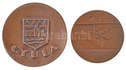 1968. '75 éves Az Akkumulátor és Szárazelem Gyár' Br Emlékérem (70mm) + DN 'Gyula' Br Emlékplakett (86mm) T:2 - Unclassified