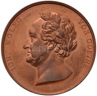 Német Államok / Szászország 1826. 'Johann Wolfgang Von Goethe' Cu Emlékérem. Szign.: Friedrich Anton König (43mm) T:2
Ge - Zonder Classificatie