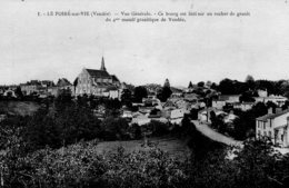 Le Poiré Sur Vie : Vue Générale - Poiré-sur-Vie