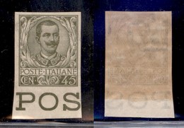 REGNO D'ITALIA - POSTA ORDINARIA - 1901 - 45 Cent Floreale (75g) Non Dentellato - Bordo Foglio - Gomma Integra (390) - Autres & Non Classés