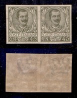 REGNO D'ITALIA - POSTA ORDINARIA - 1901 - 45 Cent Floreale (75g) - Coppia Non Dentellata - Gomma Originale (520) - Sonstige & Ohne Zuordnung