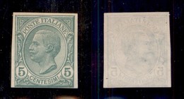 REGNO D'ITALIA - POSTA ORDINARIA - 1906 - Prova D’Archivio - 5 Cent Leoni (P81) - Sempre Senza Gomma (400) - Sonstige & Ohne Zuordnung