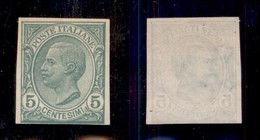 REGNO D'ITALIA - POSTA ORDINARIA - 1906 - Prova D’Archivio - 5 Cent Leoni (P81) - Sempre Senza Gomma (400) - Autres & Non Classés