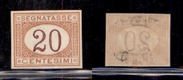 REGNO D'ITALIA - SEGNATASSE - 1894 - 20 Cent (22g) Non Dentellato - Gomma Integra - Cert. Raybaudi (375) - Autres & Non Classés