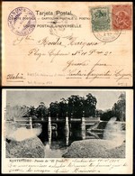 REGNO D'ITALIA - NAVIGAZIONE - Duchessa Di Genova/Piroscafo Postale Italiano 2.11.02 - Cartolina Illustrata Da Montevide - Autres & Non Classés