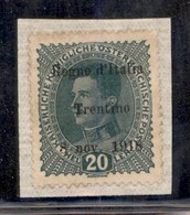 OCCUPAZIONI - TRENTINO - 1918 - 20 Heller (7d) Errore 8 - Nuovo Senza Gomma (applicato Su Supporto Cartaceo) - Other & Unclassified