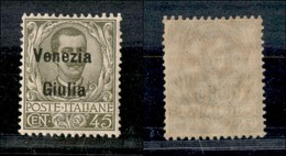 OCCUPAZIONI - VENEZIA GIULIA - 1918 - 45 Cent (26) - Gomma Integra (150) - Sonstige & Ohne Zuordnung
