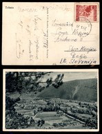 LITORALE SLOVENO - ISTRIA - 3 Din (65) Isolato Su Cartolina Da Tolmin A Celje Del 17.1.47 (500) - Autres & Non Classés