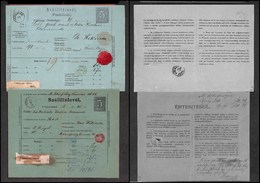 EUROPA - AUSTRIA - Due Lettere Di Porto Da Temesvar A Grosz Del 1876 (22/4 - 24/7) - Sonstige & Ohne Zuordnung