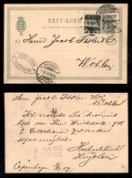 EUROPA - DANIMARCA - Gemelli - Ritaglio Di Intero Postale Su Cartolina Postale Da Chopenhagen A Wohlen Del 3.6.02 - Dien - Sonstige & Ohne Zuordnung