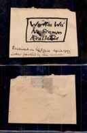 OLTREMARE - HONG KONG - 1889 - Wei Hai Wei/Not Stamps Available - Manoscritto A Penna (Received In War Office April 1899 - Other & Unclassified