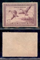 OLTREMARE - STATI UNITI - Dipartimento Agricoltura - 1938 - 1 Dollaro (Scott RW5) - Gomma Originale - Invisibile Traccia - Otros & Sin Clasificación