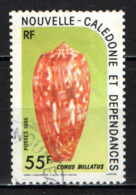 NUOVA CALEDONIA - 1985 - Conus Bullatus - USATO - Oblitérés