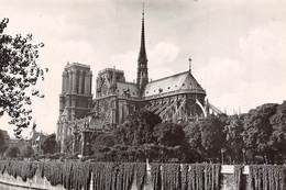 Carte Postale PARIS (75) Cathédrale Notre-Dame 1163-1260 Flèche Tombée Le 15-04-2019 -Eglise-Religion - Eglises