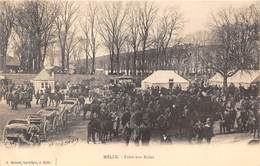 79-MELLE- FOIRE AUX MULES - Melle