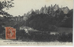 79 ( Deux Sevres ) - BRESSUIRE - Le Chateau, Dont Les Ruines S'elevent Sur Le Sauvage Ravin Du Dolot - Bressuire