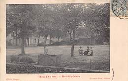 81-TEILLET- PLACE DE LA MAIRIE - Sonstige & Ohne Zuordnung