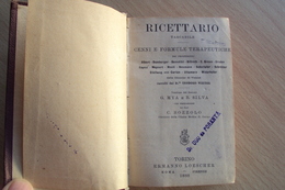 ITALIA RICETTARIO TASCABILE CENNI E FORMULE TERAPEUTICHE TORINO 1888 ERMANNO LOESCHER ROMA FIRENZE MEDICINA - Sonstige