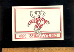 MADISON WISCONSIN Bucky Badger Sports Mascot Of The University - Madison