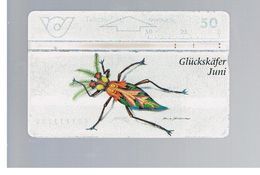 AUSTRIA - TELEKOM AUSTRIA L&G - 1996 LUCKY BEETLE,   JUNE   -     USED - RIF. 10278 - Other & Unclassified