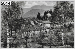 Montagnola - Vicino Lugano Collina D'Oro - Collina D'Oro