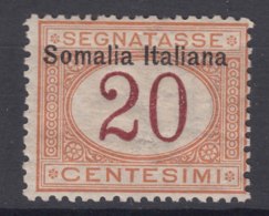 Italy Colonies Somalia 1909 Segnatasse Sassone#14 Mint Hinged - Somalië