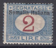 Italy Colonies Somalia 1909 Segnatasse Sassone#20 Mint Hinged - Somalië