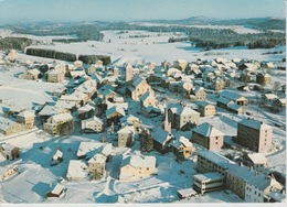 19 / 4 / 321 -   SAIGNELÉGIER  ( JU ) FRANCHES  MONTAGNES  - C P M - Saignelégier