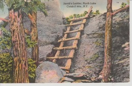 19 / 4 / 335. -  JACOB'S LADDER,  NORTH  LAKE  - CATSKILL  Mts. - N . Y. - Catskills