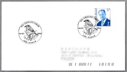 ALCAUDON REAL - GREAT GREY SHRIKE - PIE-GRIECHE GRISE. Namur 1998 - Mechanical Postmarks (Advertisement)
