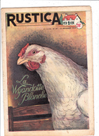 RUSTICA 1954 La Wyandotte Blanche Poule Hen Galinacée Galleon Aviculture Poulytry ( 2 Scans) - Garden