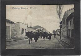 CPA Albanie Albania écrite Shkodra Ane - Albanie