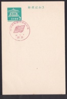 Japan Commemorative Postmark, 1967 Niigata Port Earthquake (jci1718) - Ungebraucht