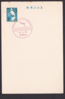 Japan Commemorative Postmark, 1967 Swim Championships (jci1755) - Ungebraucht