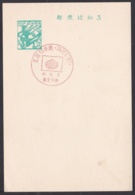 Japan Commemorative Postmark, 1967 JAPEX (jci1814) - Nuevos