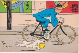 ILLUSTRATEUR HERGE AVEC TINTIN ET MILOU  VELO CHINOIS - Hergé