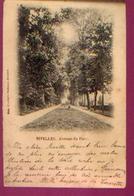 Delcampe - NIVELLES « Avenue Du Parc » - Ed. Papeterie Godeaux, Nivelles (1902) - Nivelles