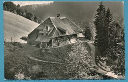 TODTMOOS IM HOCHSCHWARZWALD - Das Felsenhäusle - Todtmoos