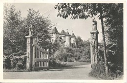 Kaatsheuvel, De Efteling, Toegangshek En Kasteel       (glansfotokaart) - Kaatsheuvel