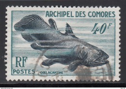 1954  Yvert Nº 13 - Used Stamps