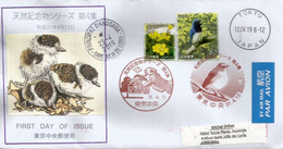 “Setsubun” Japan Greeting Spring, 2019, Letter From Tokyo To Andorra, With Arrival Postmark - Briefe U. Dokumente