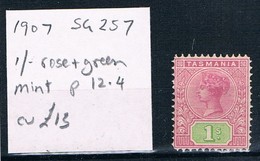 TASMANIA • 1907 • 1 Shilling Rose & Green Q. Vic. Tablet • Perf 12.4  • Mint - Ungebraucht