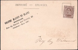 Carte Affranchie Avec Un Timbre Préoblitéré Envoyée De Bruxelles Vers Pry-lez-Walcourt En 1920 (Grande Maison De Blanc) - Roulettes 1920-29