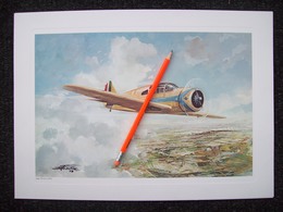 STAMPA AEREO  NARDI FN-310  1937    CON DISEGNO DI AMLETO FIORE - Poster